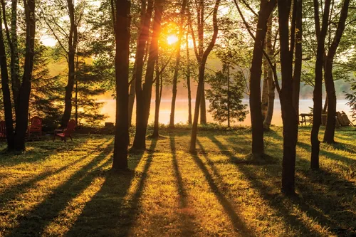 Paris Riverside - Pre-construction project in Paris Riverside Community | Brant, ON