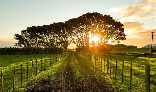 Provence - Pre-construction project in Aquaview Drive & Portobello Boulevard, Ottawa, ON Provence - Pre-construction project in Aquaview Drive & Portobello Boulevard, Ottawa, ON