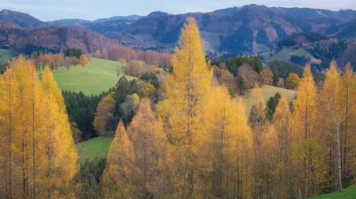 Nestings in Simcoe - Pre-construction project in Rob Blake Way in Simcoe, Ontario