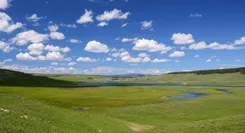 1758971971083-dandelion-3382825_1280456